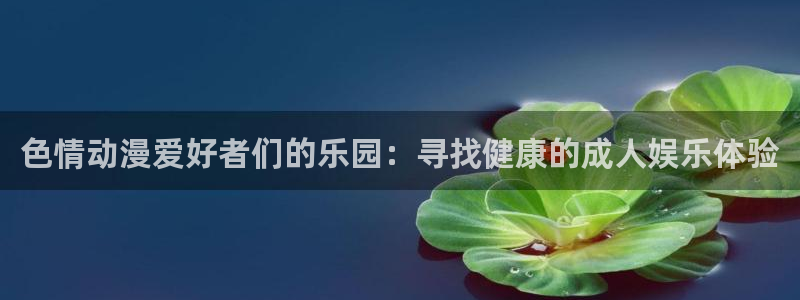 推荐的里番动漫：色情动漫爱好者们的乐园：寻找健康的成人娱乐体验